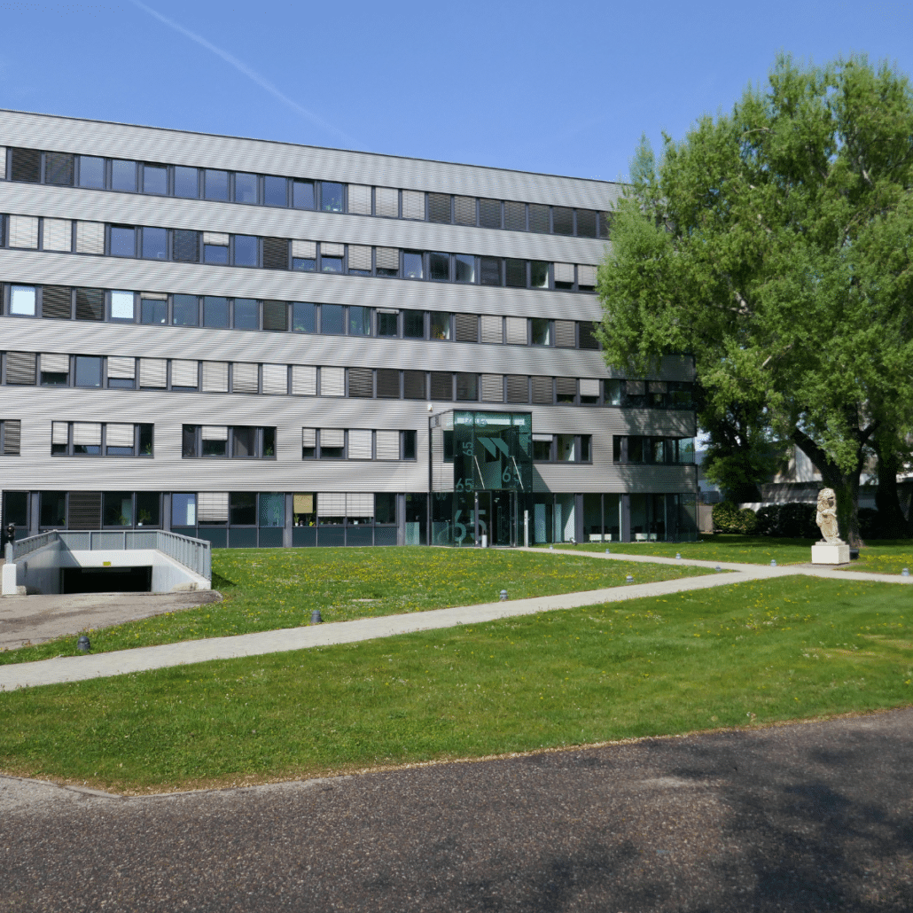 Kontakt – WERNER CONSULT